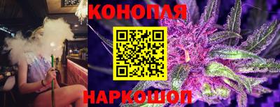 скорость Партизанск