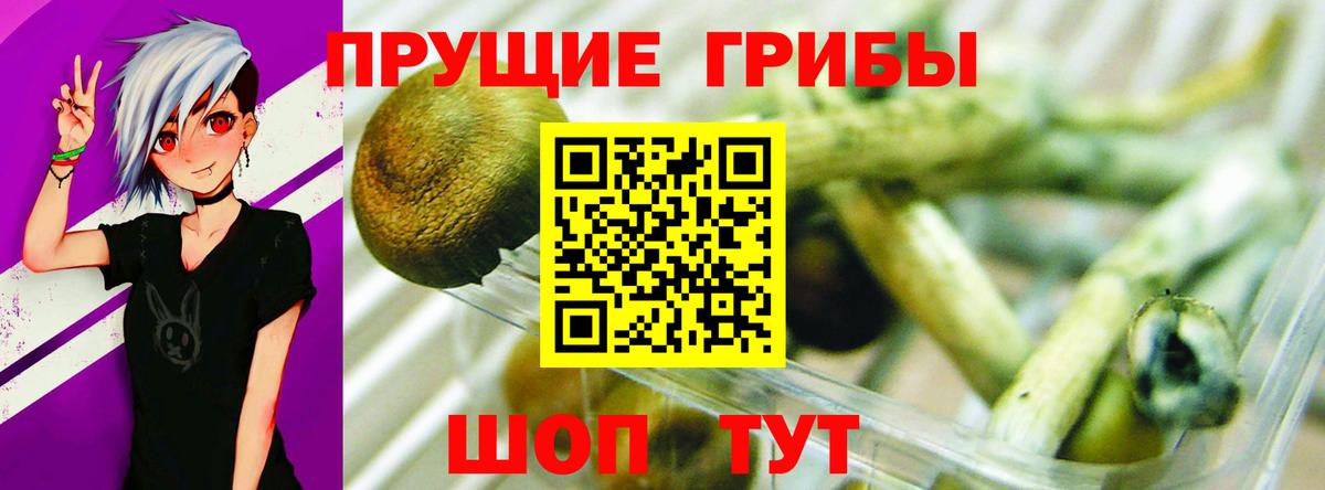 Севастополь  Псилоцибиновые грибы мицелий  Вход с VPN 