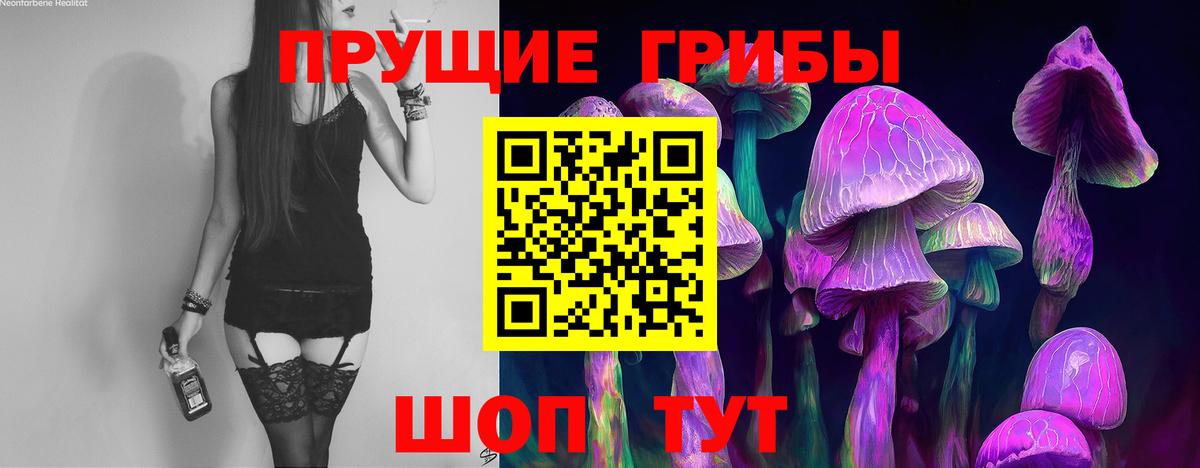 Псилоцибиновые грибы MAGIC MUSHROOMS Севастополь