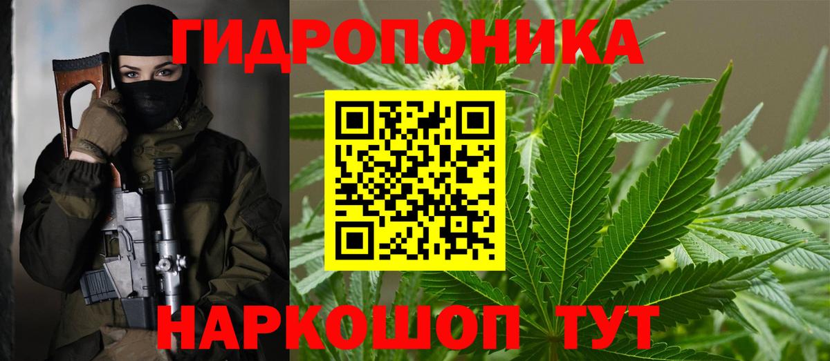 Каннабис планчик  Вход с VPN  Севастополь  Бошки марихуана марихуана  Шишки марихуана план 